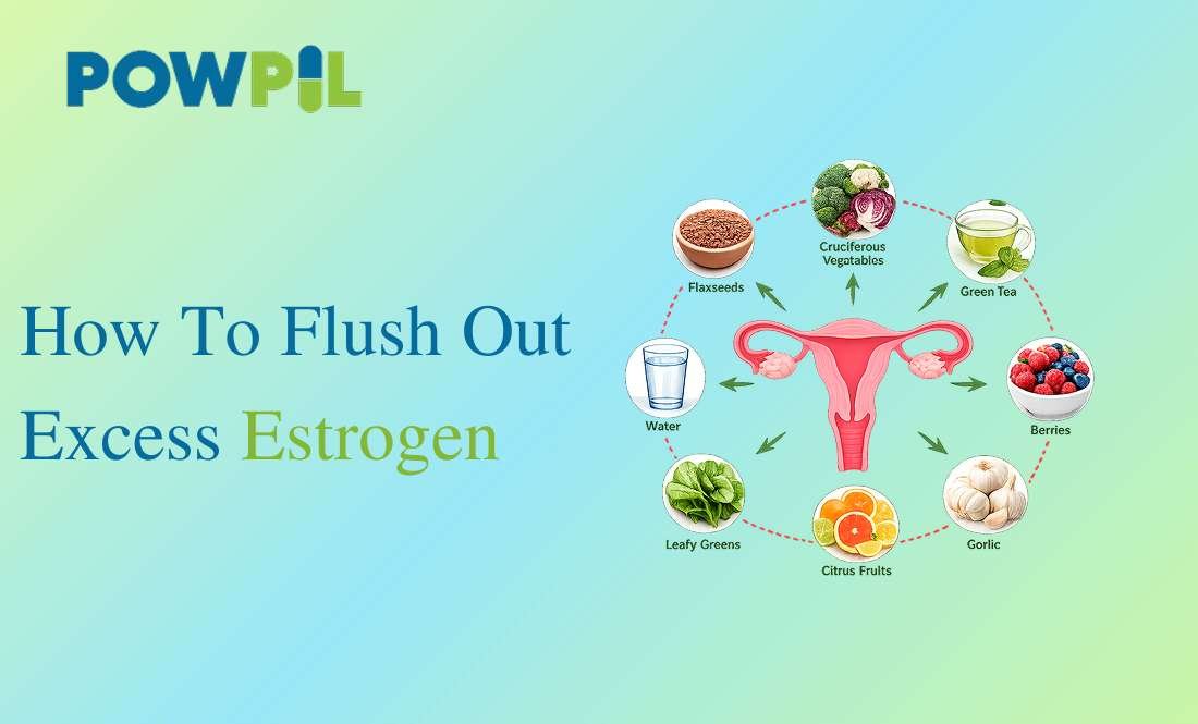 Estrogen